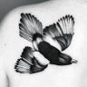 Anaïs's profile picture