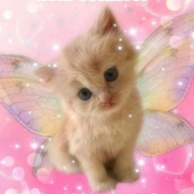 뽁고's profile picture