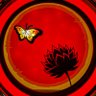 華's profile picture