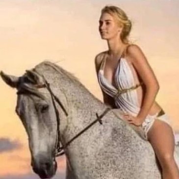 lisa_megamax's profile picture