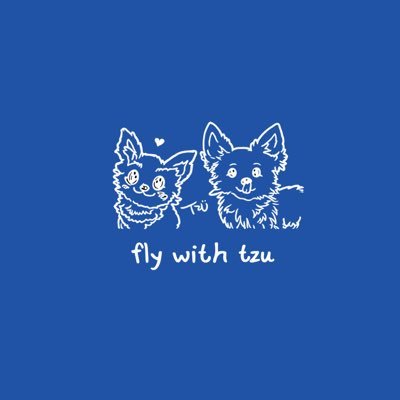 fly with tzü's profile picture