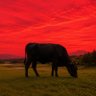 マイケル profil fotoğrafı