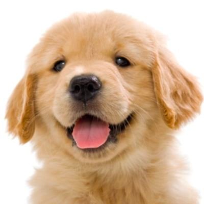 kaeseupeo4's profile picture