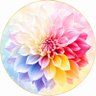 Фото профиля poko