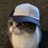 Profilbild von Kesh