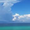 Profilbild von Michael