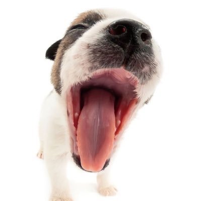 ddarrung's profile picture