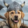 BitterReb86's profile picture
