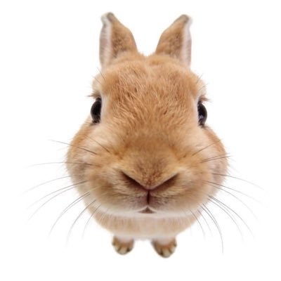 aangellvvv's profile picture