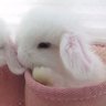 Profilbild von ฅ=`ܫ´=ฅ
