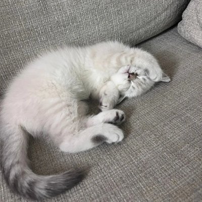 ibnkusay's profile picture