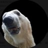 マイマイ profil fotoğrafı