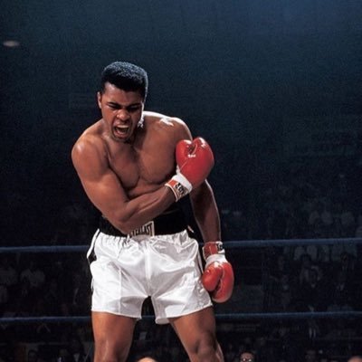 🥊 Face Off's profile picture