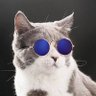 mca's profile picture