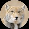 しば's profile picture