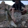 Troutster 的头像