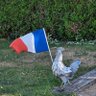 Jojo le Jardinier profil fotoğrafı