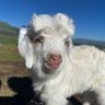 Profilbild von Mingzhe Cai