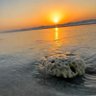 Фото профиля Bo_Hamed