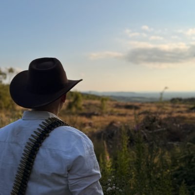 Deebeegeek 🔜 RDR2's profile picture