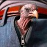 Profilbild von Serbestmeslekerbabı