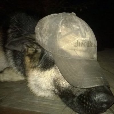 crossmutt's profile picture