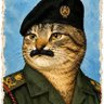 baser61's profile picture
