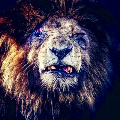 TheKomeUp_1004L's profile picture