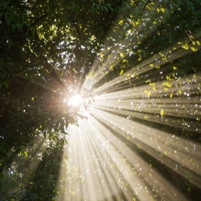 mlltii's profile picture