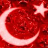 Ecdadı Osmanlıyım's profile picture
