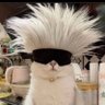 Saberstroom's profile picture