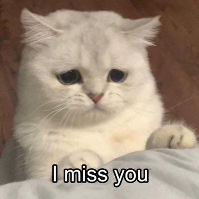 ⋆𐙚₊ หมุ้จิ๋วnot hehe 🎡🍒🥨's profile picture