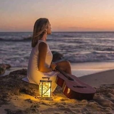 Sara Ebrahim's profile picture
