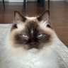 Фото профиля Dave
