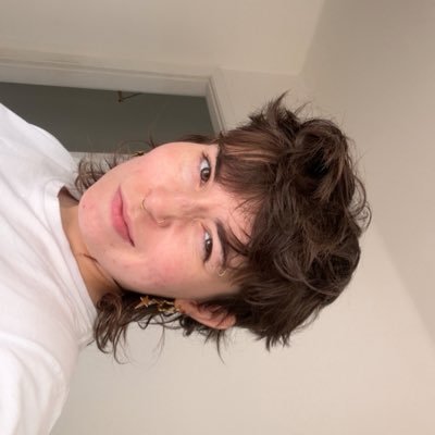 nirosner's profile picture