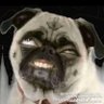 Profilbild von Jay