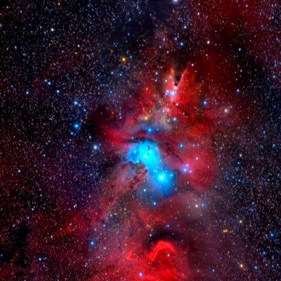 Rocket Mood🚀 🆇's profile picture