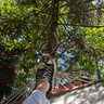 Фото профиля Şule