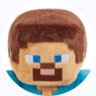 Minecraft Steve's profile picture