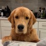 Julie's profile picture