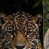 اكرم profil fotoğrafı
