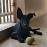 Jeffrey alana profil fotoğrafı