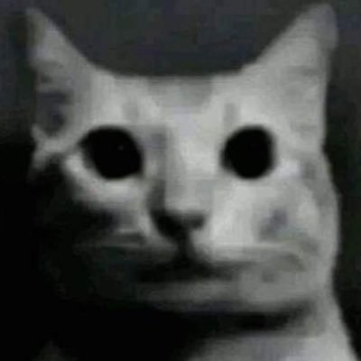 ROZMYSŁ's profile picture