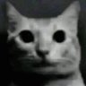ROZMYSŁ's profile picture