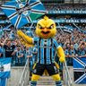 Gremistazo's profile picture