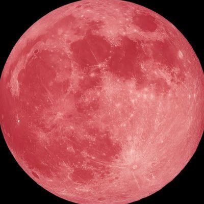 iluvry509's profile picture