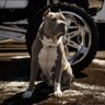 Bubby's profile picture