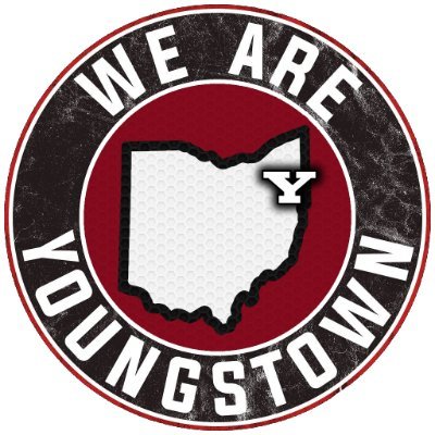 We Are Youngstown's profile picture