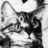 hunter profil fotoğrafı