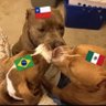 trisal latinoamericano profil fotoğrafı